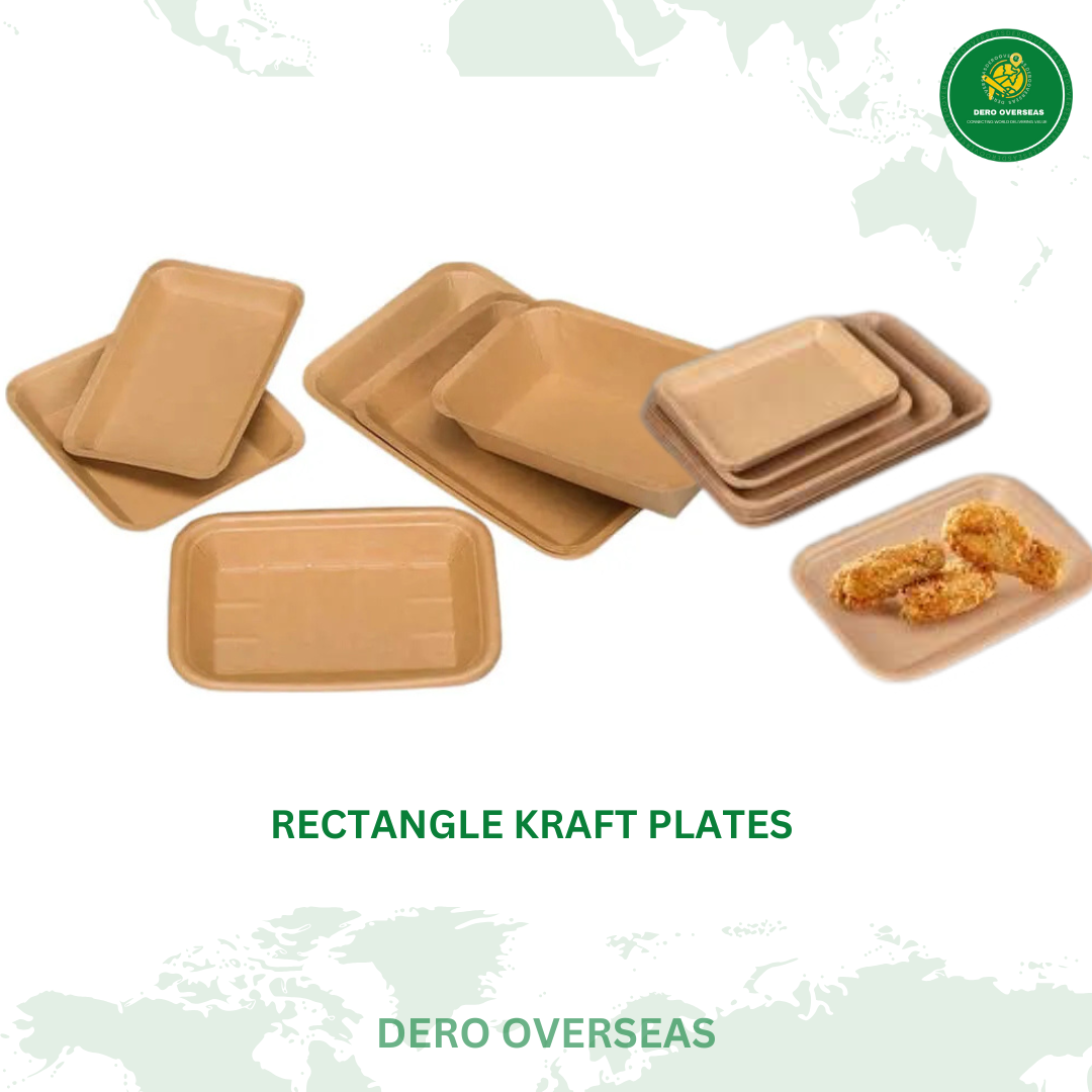 BAGGASE PAPER PLATE - Image 3