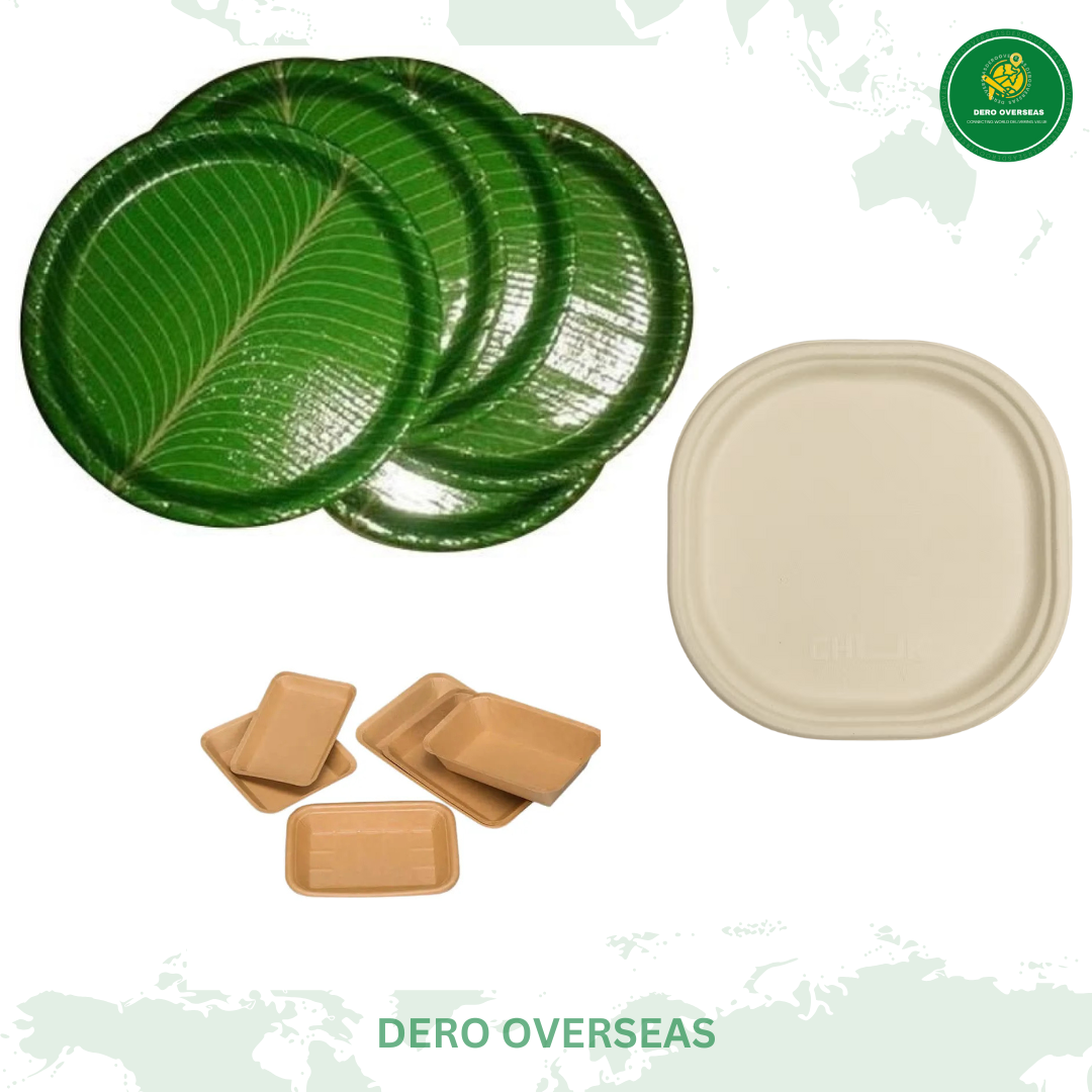 BAGGASE PAPER PLATE - Image 4