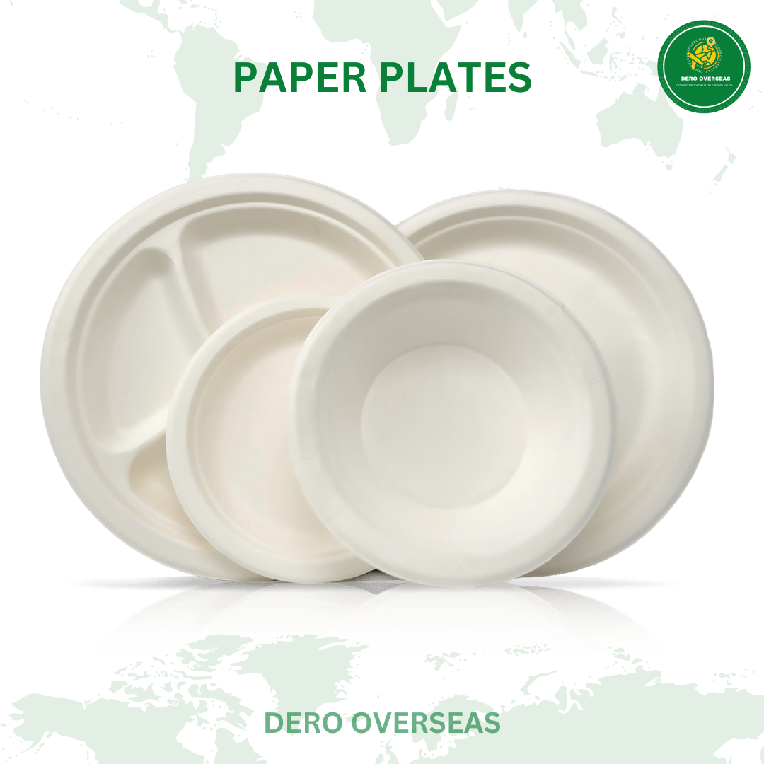BAGGASE PAPER PLATE